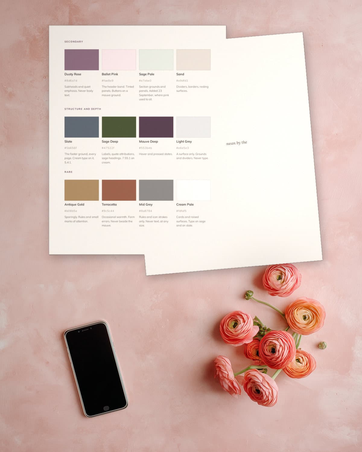 Calibration Wellness: Brand guide